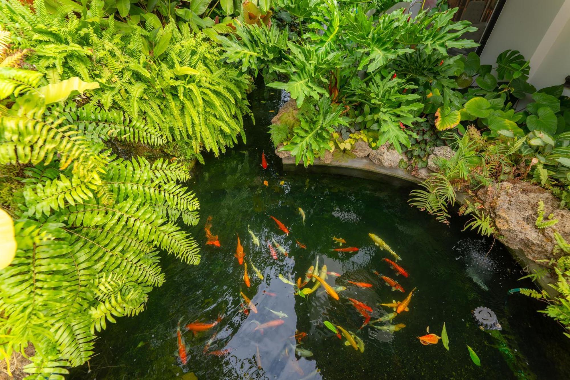 Verbena Chiangmai Чиангмай Экстерьер фото